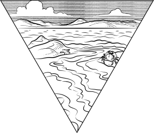 Une illustration en triangle avec une plage et un crabe