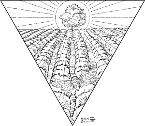 Une illustration dans un triangle de vignes avec un arbre